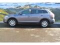 2007 Galaxy Gray Mica Mazda CX-9 Touring AWD  photo #6