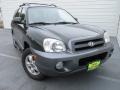 Dark Emerald Green 2006 Hyundai Santa Fe GLS