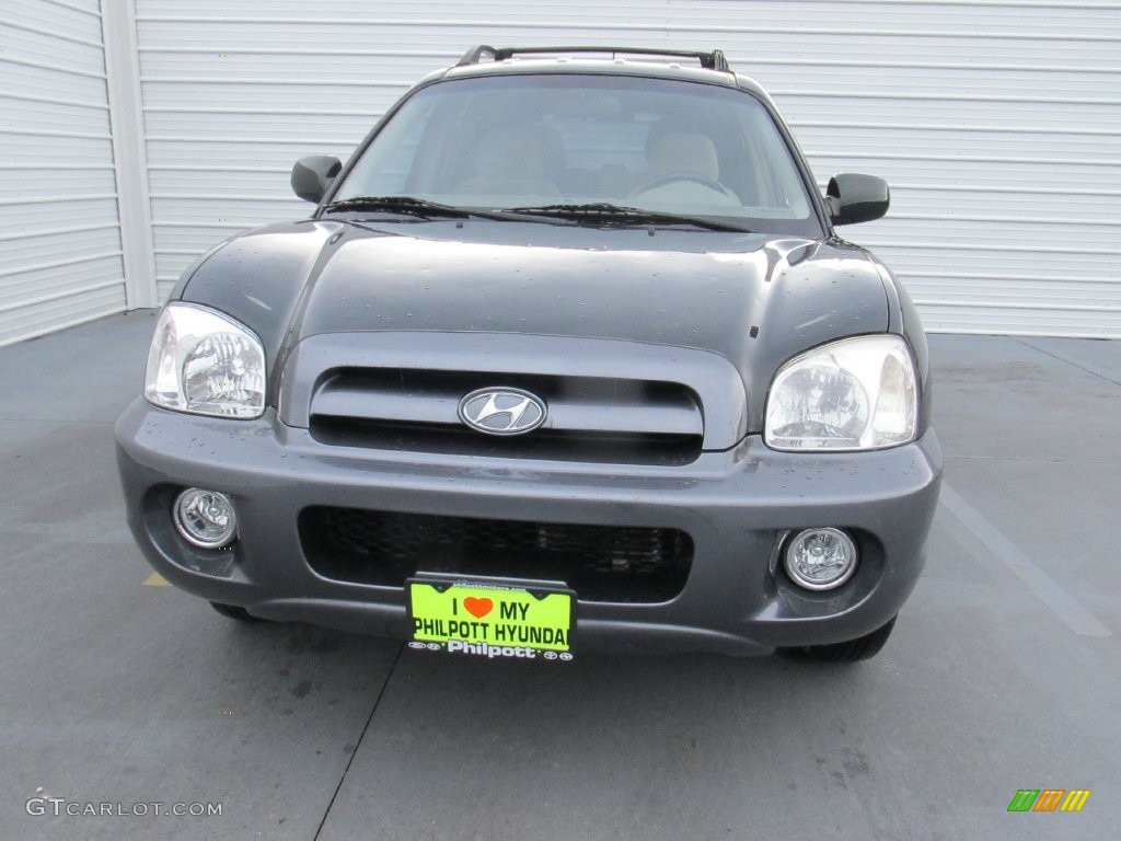 2006 Santa Fe GLS - Dark Emerald Green / Beige photo #5