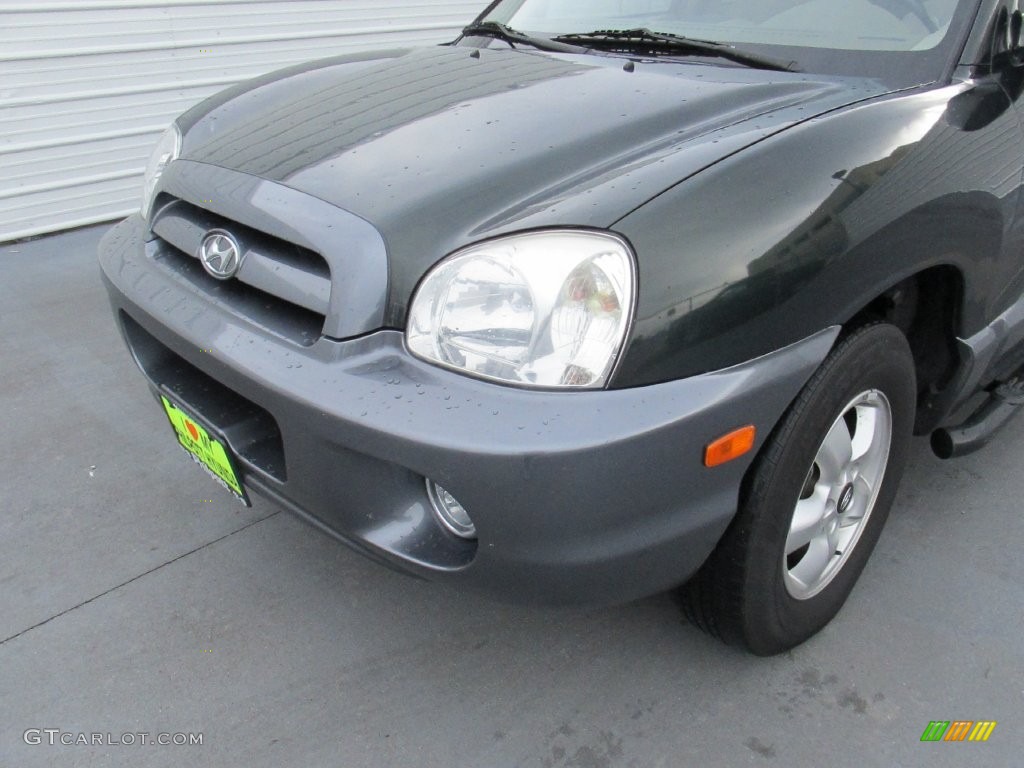 2006 Santa Fe GLS - Dark Emerald Green / Beige photo #7