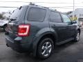 2009 Sterling Grey Metallic Ford Escape Limited V6 4WD  photo #5