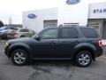 Sterling Grey Metallic - Escape Limited V6 4WD Photo No. 9
