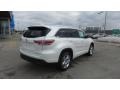 Blizzard Pearl - Highlander Limited AWD Photo No. 4