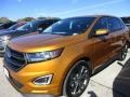 2016 Electric Spice Ford Edge Sport AWD  photo #2
