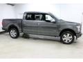 Magnetic - F150 Platinum SuperCrew 4x4 Photo No. 1