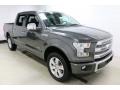 Magnetic - F150 Platinum SuperCrew 4x4 Photo No. 3