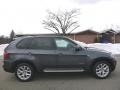 2011 Platinum Gray Metallic BMW X5 xDrive 35i  photo #6