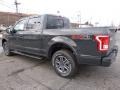 Lithium Gray - F150 XLT SuperCrew 4x4 Photo No. 3