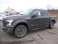 Lithium Gray - F150 XLT SuperCrew 4x4 Photo No. 4