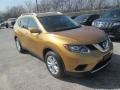 2015 Saharan Sun Nissan Rogue SV #110495000