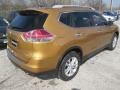  2015 Rogue SV Saharan Sun