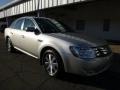 Silver Birch Metallic - Taurus SEL AWD Photo No. 8