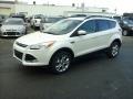 2013 White Platinum Metallic Tri-Coat Ford Escape SEL 1.6L EcoBoost 4WD  photo #3