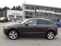 Teak Brown Metallic - Q5 3.2 FSI quattro Photo No. 2