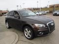 Teak Brown Metallic - Q5 3.2 FSI quattro Photo No. 8