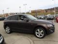 Teak Brown Metallic - Q5 3.2 FSI quattro Photo No. 9