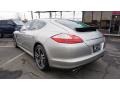 Platinum Silver Metallic - Panamera 4S Photo No. 3