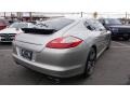 Platinum Silver Metallic - Panamera 4S Photo No. 4