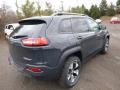 Rhino - Cherokee Trailhawk 4x4 Photo No. 7