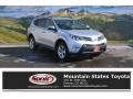 Classic Silver Metallic - RAV4 XLE Photo No. 1