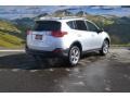 Classic Silver Metallic - RAV4 XLE Photo No. 3