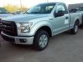 Ingot Silver - F150 XL Regular Cab Photo No. 4