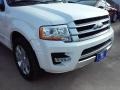 White Platinum Metallic Tricoat - Expedition Platinum Photo No. 3