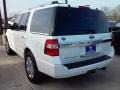 White Platinum Metallic Tricoat - Expedition Platinum Photo No. 10
