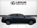 Nebula Gray Pearl - ES 350 Photo No. 2