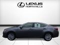 Nebula Gray Pearl - ES 350 Photo No. 3