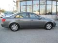 Willow Gray - Sonata GLS Photo No. 7