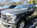 2016 Magnetic Ford F150 XL SuperCrew  photo #2