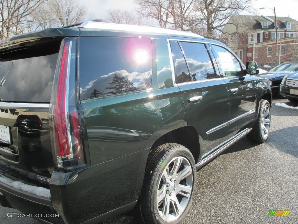 2016 Escalade Premium 4WD - Dark Emerald Metallic / Shale/Cocoa photo #5