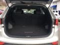 Moonstone Silver - Santa Fe Sport 2.0T AWD Photo No. 20