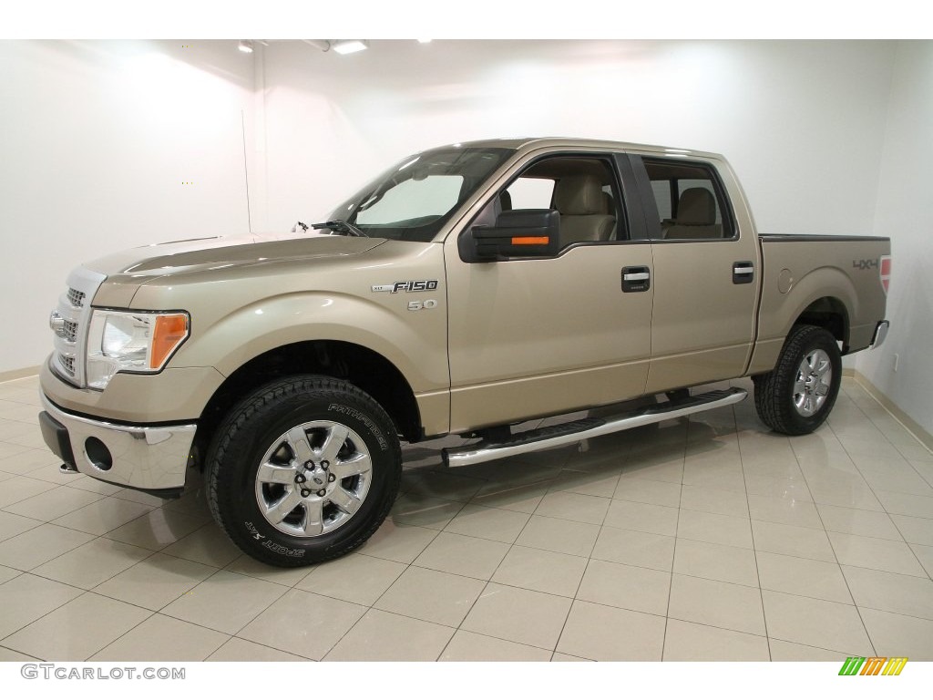 2013 F150 XLT SuperCrew 4x4 - Pale Adobe Metallic / Adobe photo #3