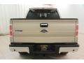 Pale Adobe Metallic - F150 XLT SuperCrew 4x4 Photo No. 22