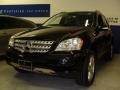 Black - ML 500 4Matic Photo No. 1