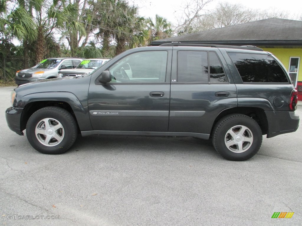 2004 TrailBlazer LS - Dark Gray Metallic / Medium Pewter photo #6