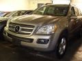 2007 Pewter Metallic Mercedes-Benz GL 450  photo #1