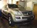 2007 Pewter Metallic Mercedes-Benz GL 450  photo #3