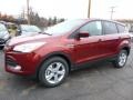 2016 Sunset Metallic Ford Escape SE 4WD  photo #5