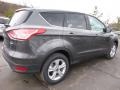 Magnetic Metallic - Escape SE 4WD Photo No. 2