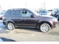 Deep Cherry Pearl - Forester 2.5 X Premium Photo No. 4