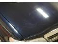 Navy Blue Metallic - Venture Plus Photo No. 50