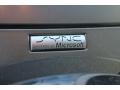 2010 Steel Blue Metallic Ford Taurus Limited  photo #37