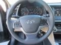 2017 Hyundai Elantra Beige Interior Steering Wheel Photo