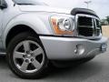 2006 Bright Silver Metallic Dodge Durango Limited 4x4  photo #2