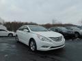 Shimmering White - Sonata Limited Photo No. 9