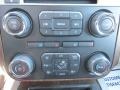 White Platinum Metallic Tricoat - Expedition King Ranch Photo No. 31