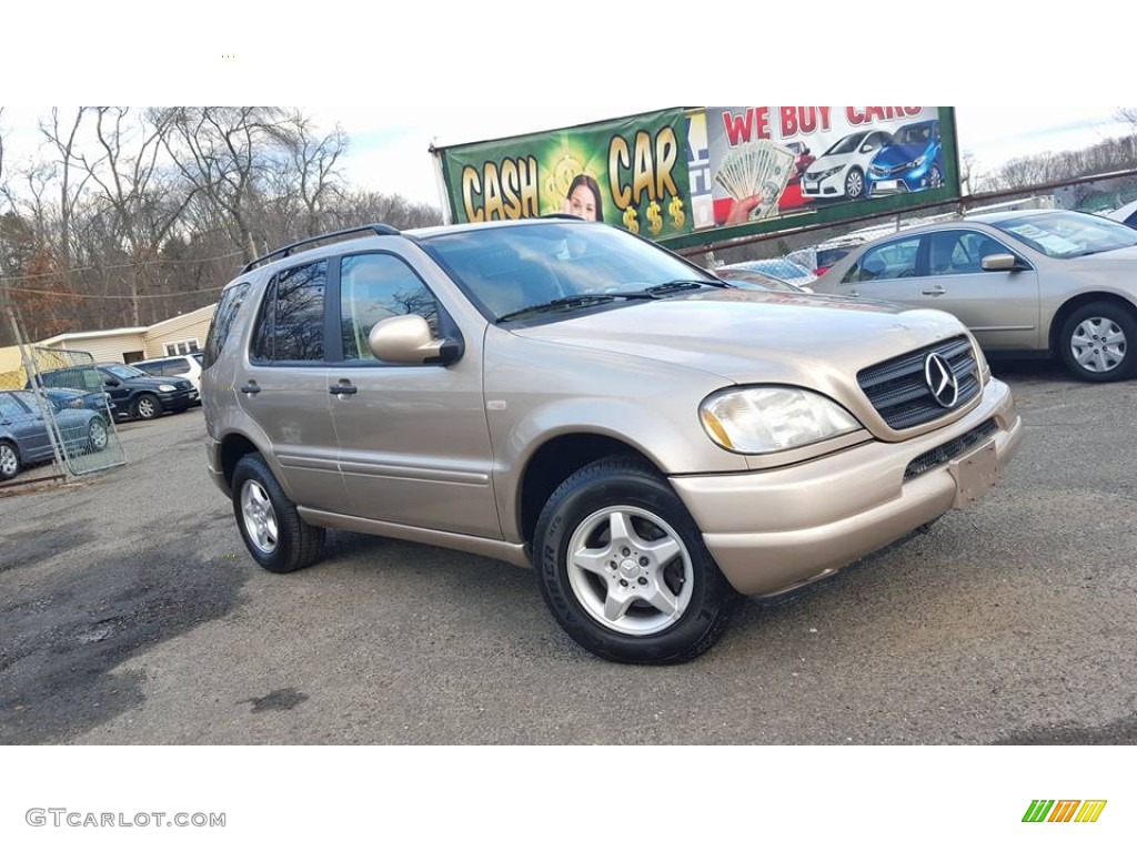 Desert Silver Metallic Mercedes-Benz ML